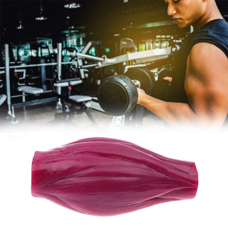 Nutrition Fitness Course - 1lb Muskelaufbau zur Fitness & Motivation