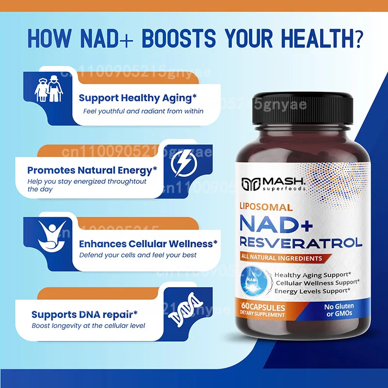 900 mg NAD+-Ergänzung: Nikotin – Resveratrol Capsule Anti Aging Bewertung und Preis